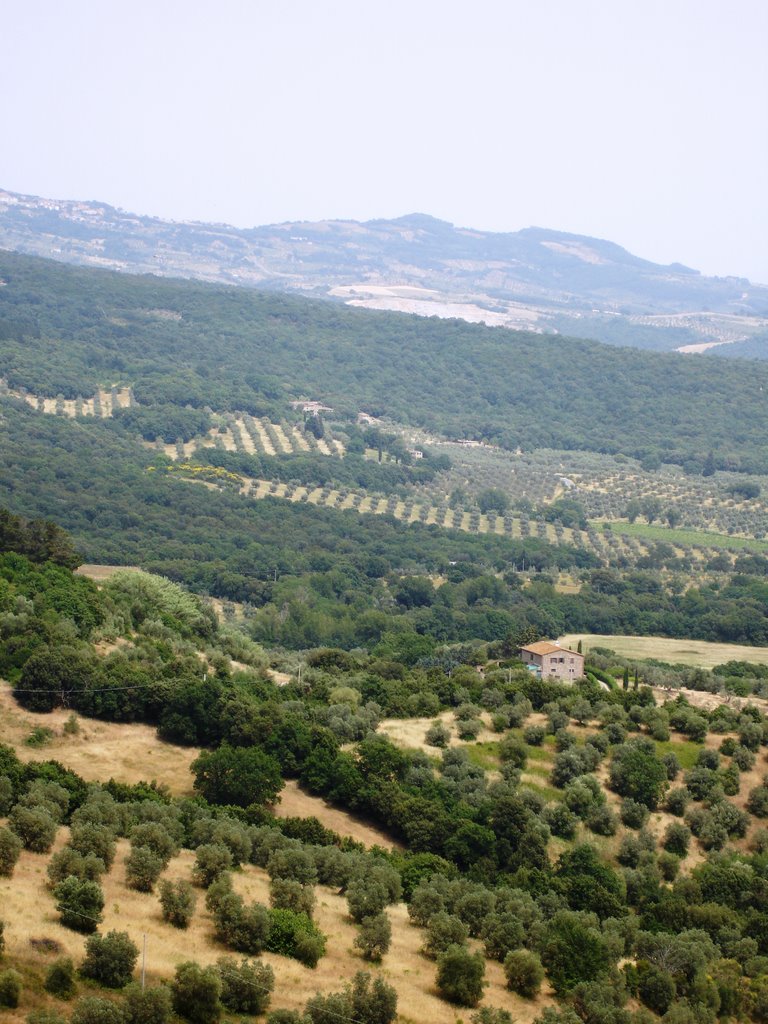 Camino from Montemassi by Robin Wheeler