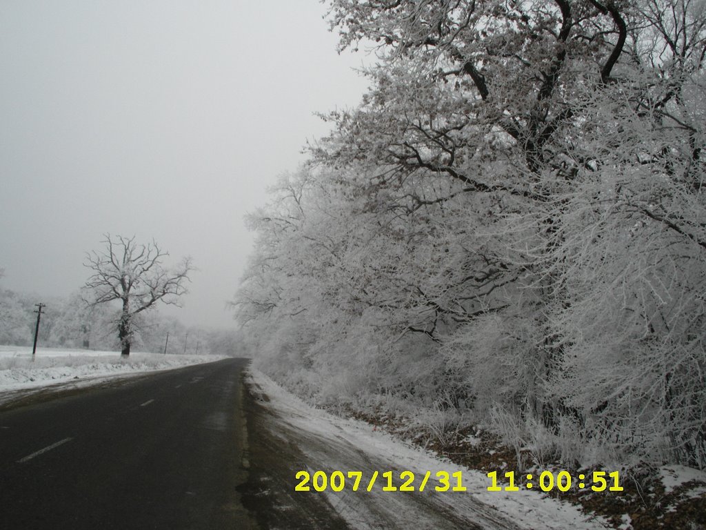 Spre Reghin aproape de fostele ferme de pui..ce bine era pe vremuri by ANDOR ALIN