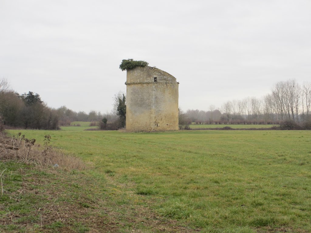 Pigeonnier de Maurepas à Coulon (Deux-Sèvres) by plonevez