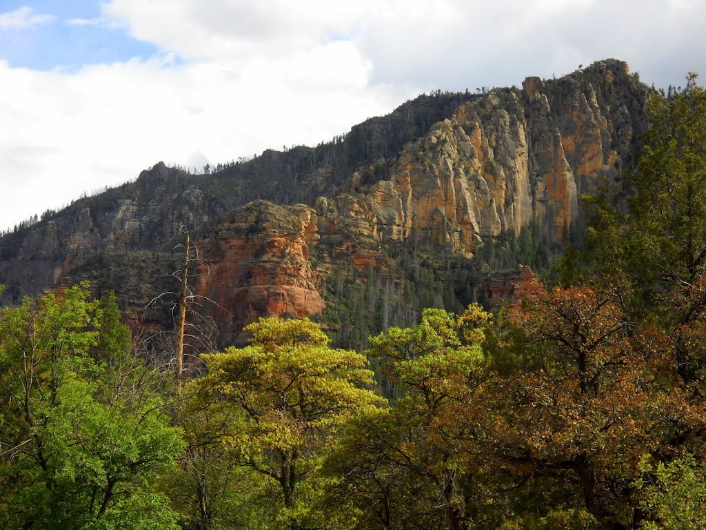 Oak Creek Canyon, Coconino National Forest, Sedona, AZ by Mean Mister Mustard