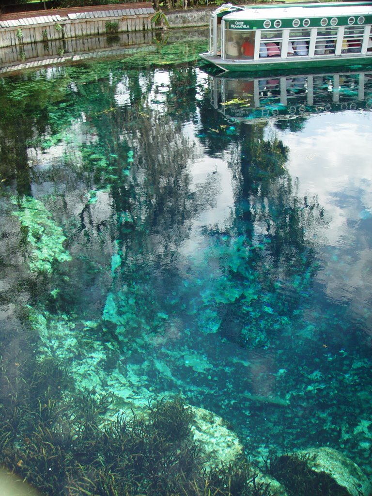 Largest spring in the world, Silver Springs (1-2007) by Ken Badgley