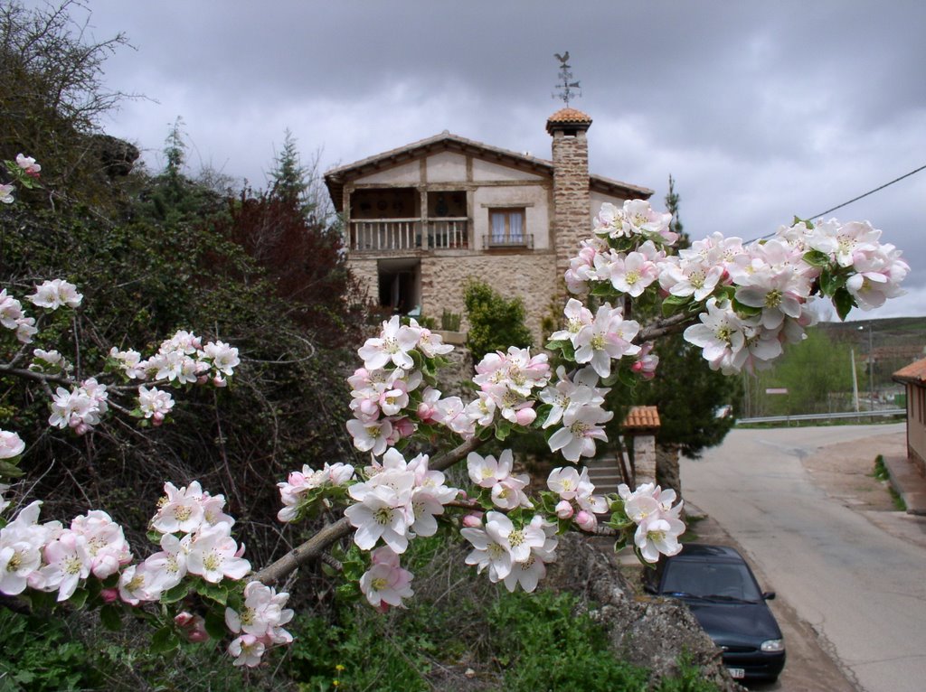 Casa rural (Molina de Aragón) by mundele.