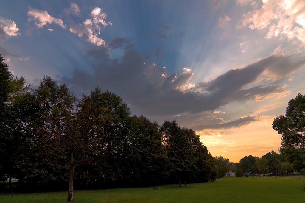 Park Miejski, Tychy by Jacek Czyba