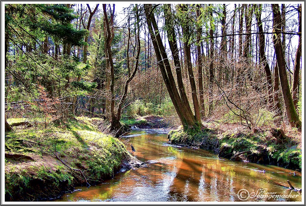 Este hinter Bötersheim by Reiner Spangemacher