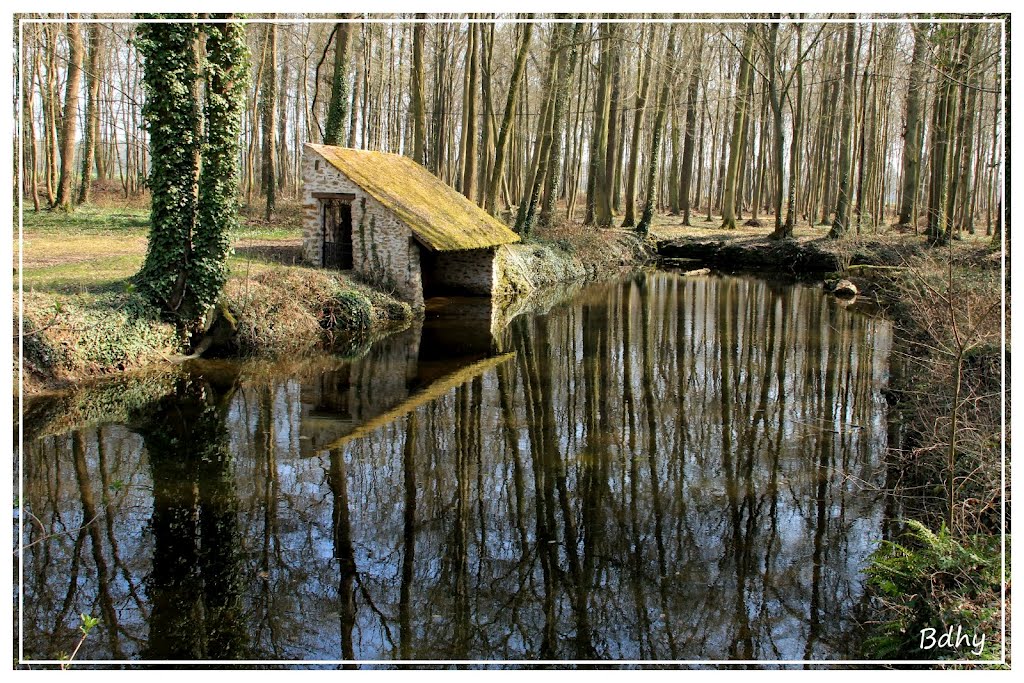 Lavoir dans la forêt by bdhy