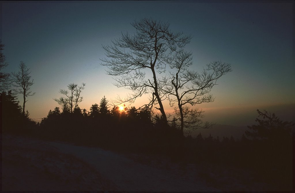 Feldberg im Taunus by Quasebart