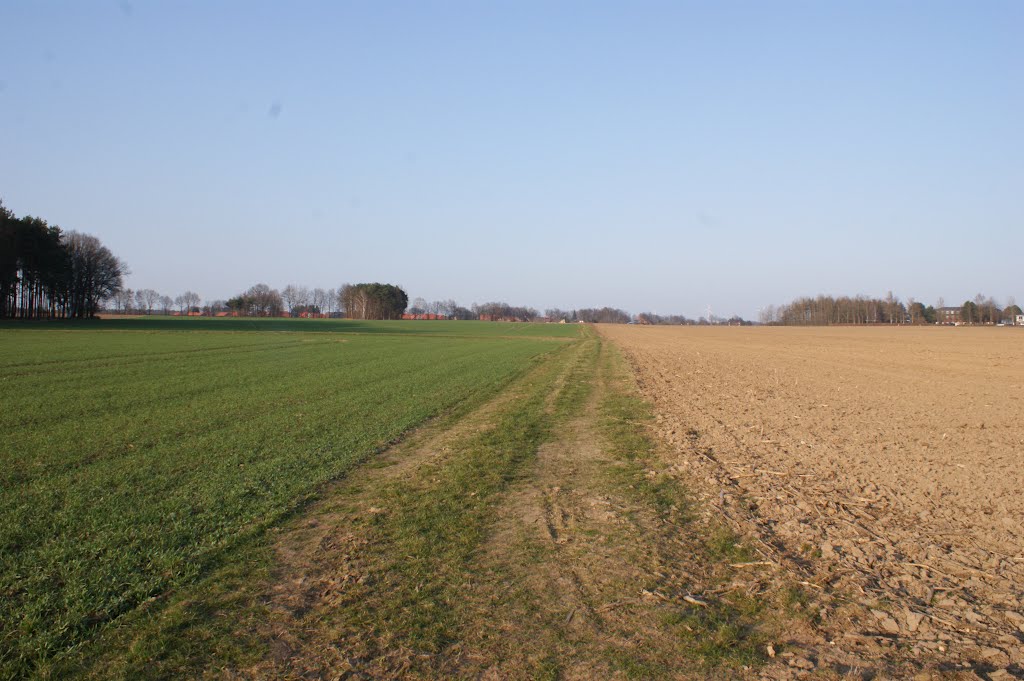 Feldweg bei Wohlde mit Blickrichtung Nordost by 5Ranger