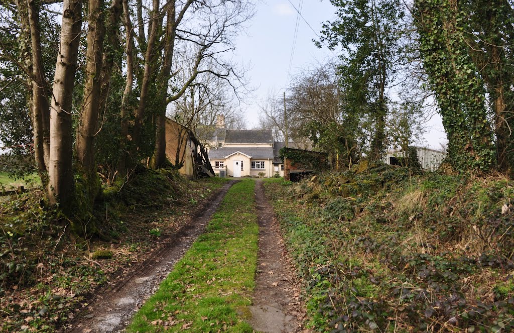 Mid Devon : Druidshayne Cottage by A Photographer