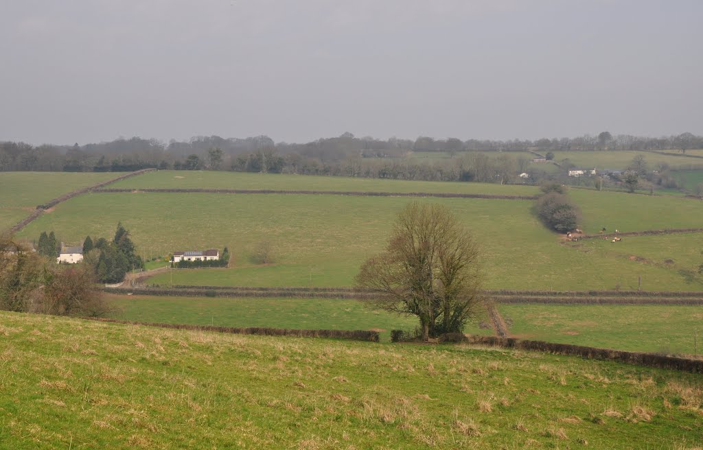 Mid Devon : Grassy Field & Countryside by A Photographer