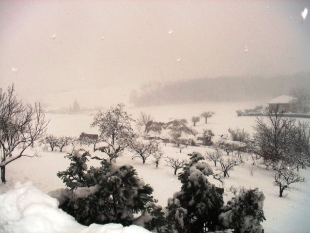 Paesaggio Innevato by Cumpà