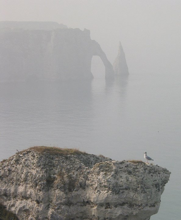 Falaise d'Aval d'Étretat by alitza