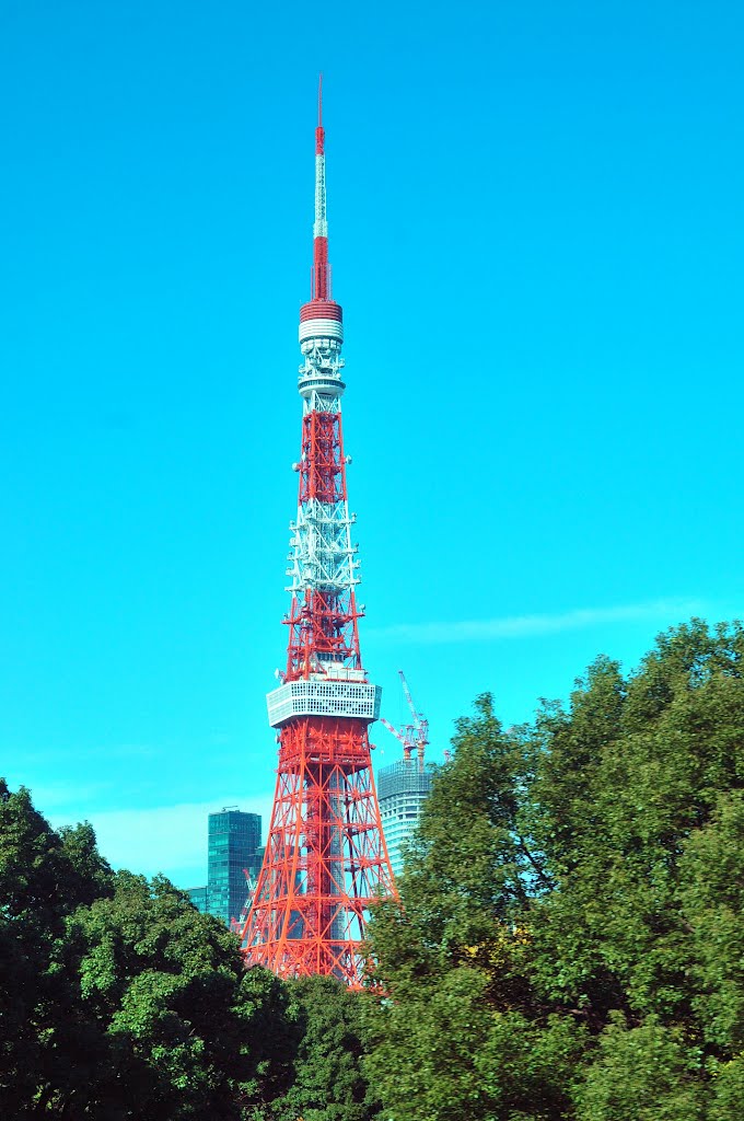 Tokyo Tower seen from Expressway by SSKKBB