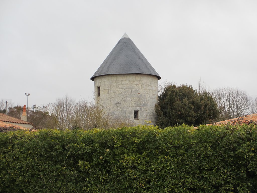 Moulin Benoît à Lagord (Charente-Maritime) by plonevez