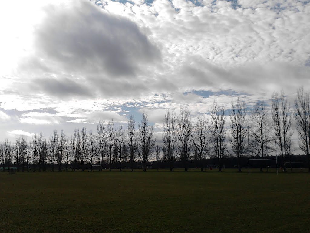 University Playing Fields, Late Afternoon by archive2