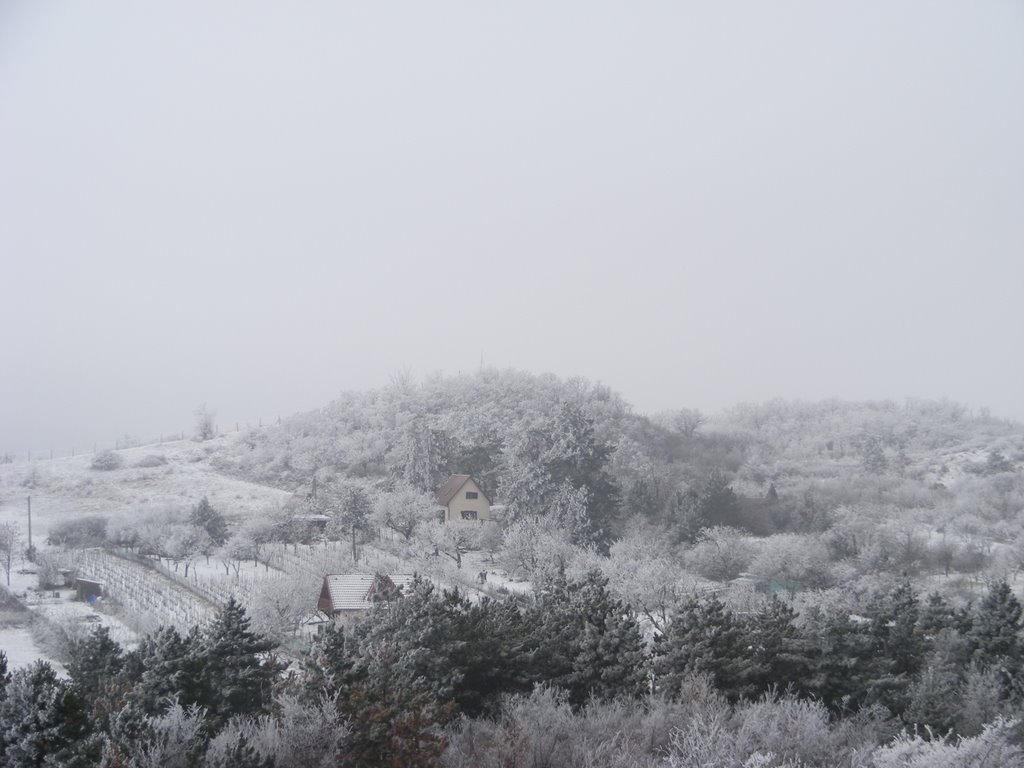 Sukoró, Hungary by Gáspár Norbert Pál