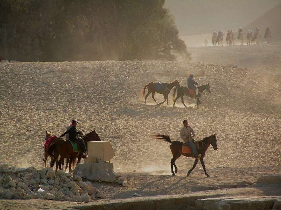 Desert Cavalry by porcullus