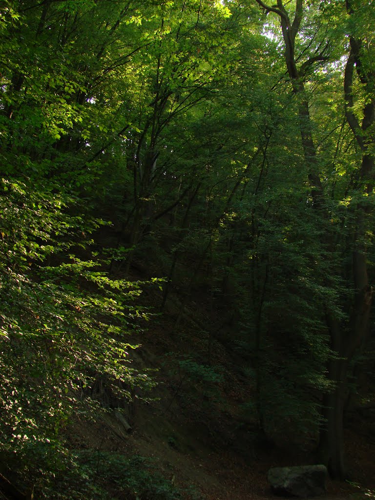 Neandertal (An der Düssel.) September 2011 by DortmundWestfalica