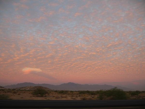 Bizarre Sunrise by AZDesertFlower