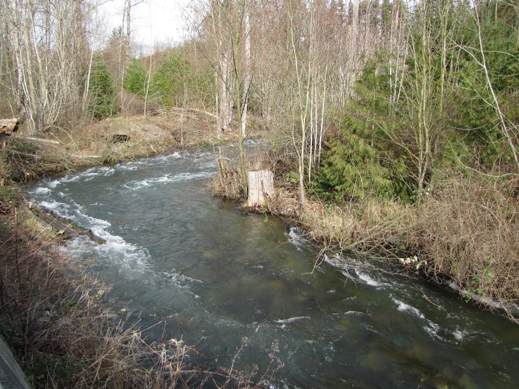 Whatcom Creek in Bellingham, Washington where it meets and flows along side Woburn Street for a way. This is about a block south of Iowa Street. by JamesDearl