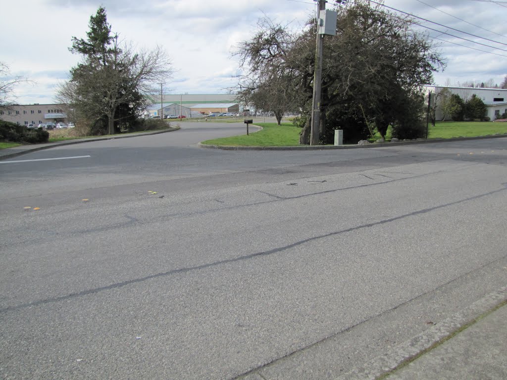 Woburn Street in Bellingham, Washington looking northwest at the intersection with Kentucky Street. by JamesDearl