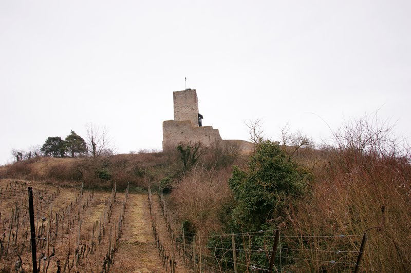 Katzenthal - Elsass Frankreich by Golinski Janusch