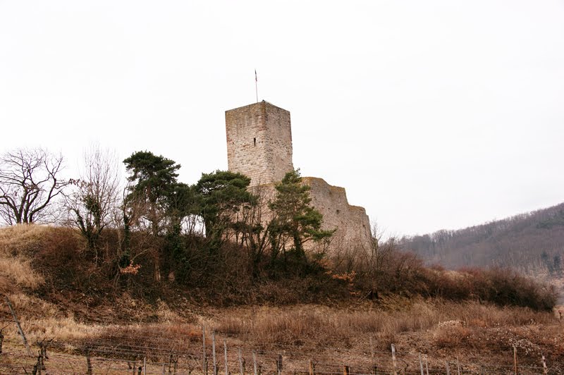 Katzenthal - Elsass Frankreich by Golinski Janusch