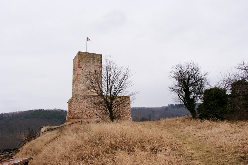 Katzenthal - Elsass Frankreich by Golinski Janusch