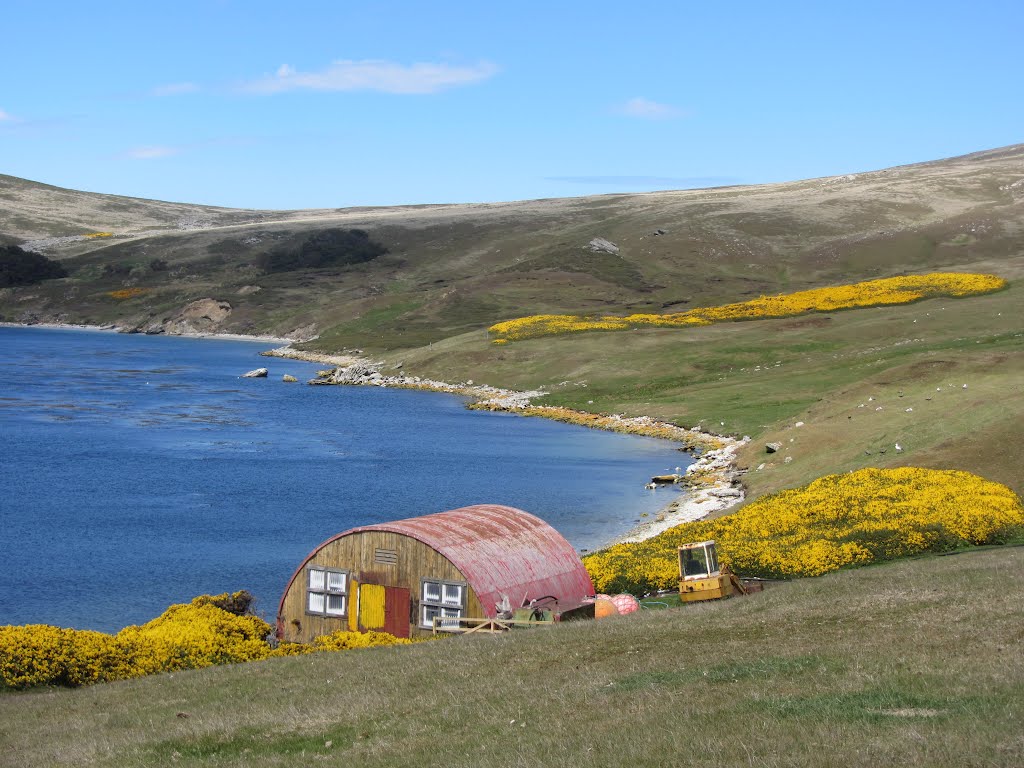 West Point Island, Falkland Islands by Graham Wiggans