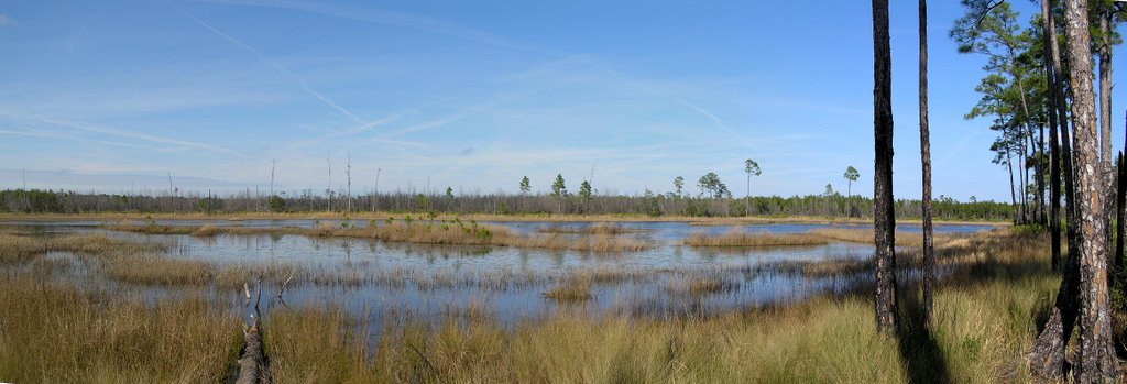 Florida Trail - Juniper Prairie Pond by The Boonie Man