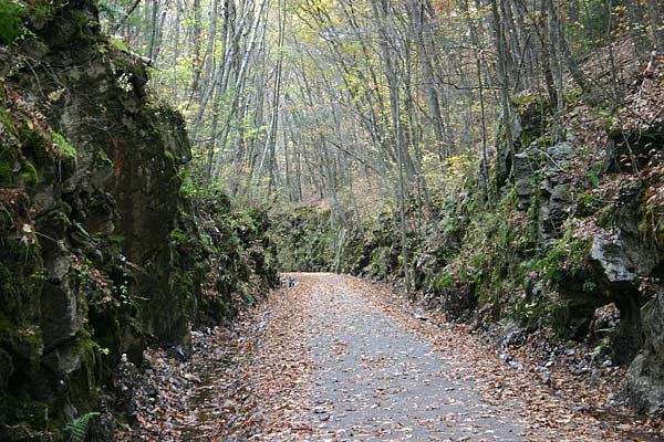 Mass Central (Wachusett Greenways) Rail Trail by waynebrink