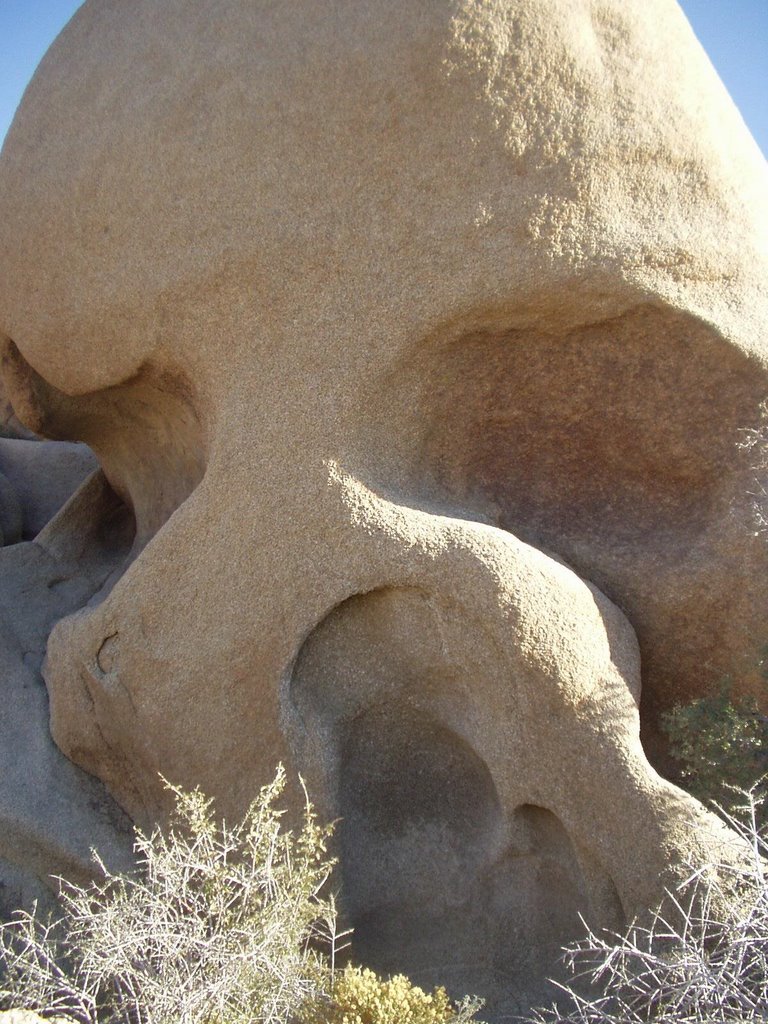 skull rock joshua tree by msrec