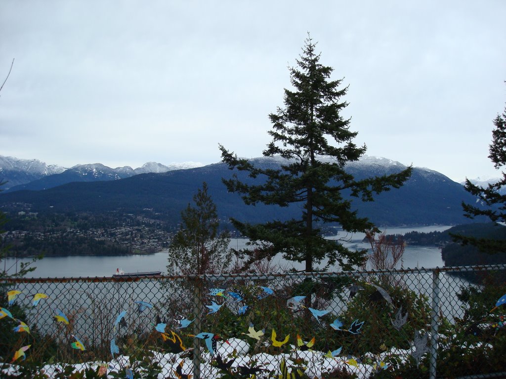 Birds on Fence overlooking Burrard Inlet by Paul R