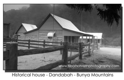 Dandabah - Bunya Mountains by tibor horvath