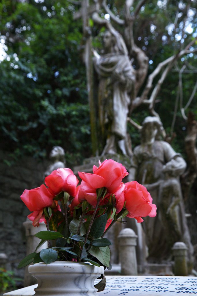 Cemetery@Happy Valley, Hongkong_22 Dec 2007 by Tony Y.J. Chou