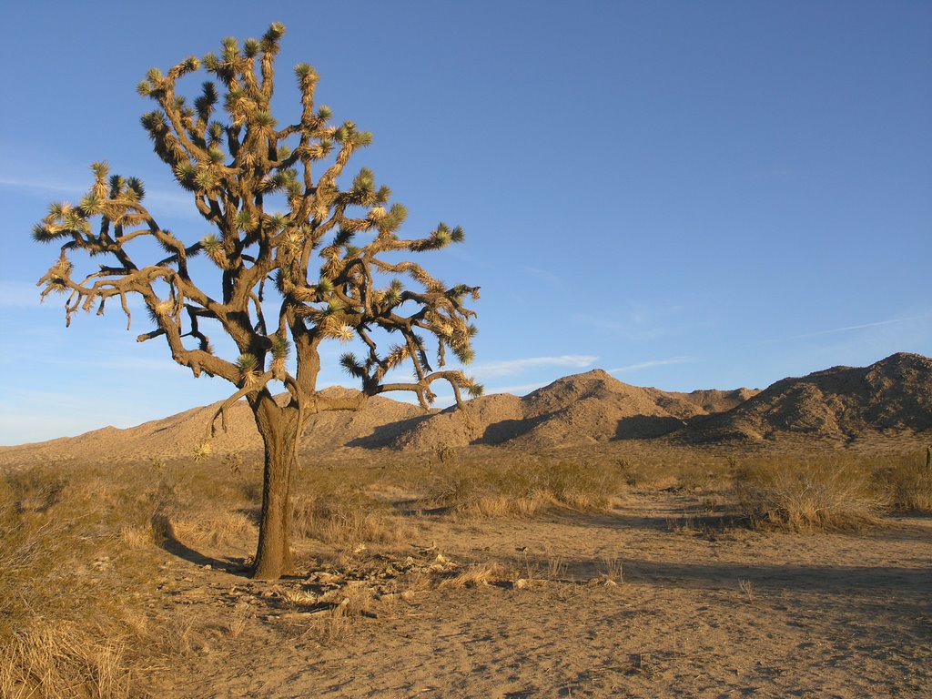 Saddleback Butte State Park by earthrover