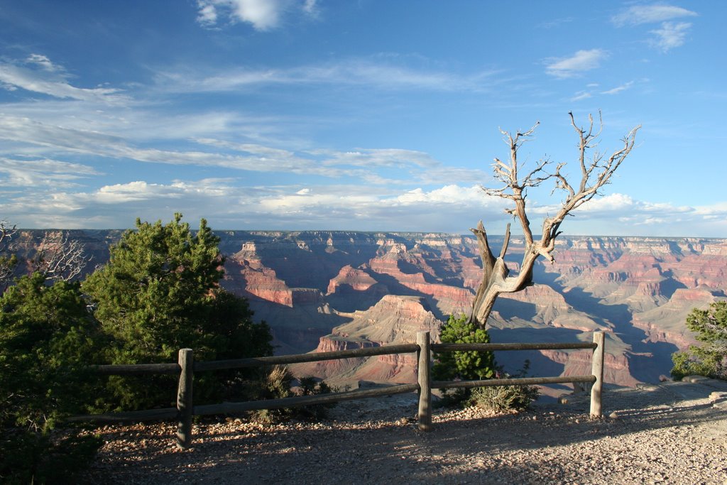 Grand Canyon by Jørgen From DK