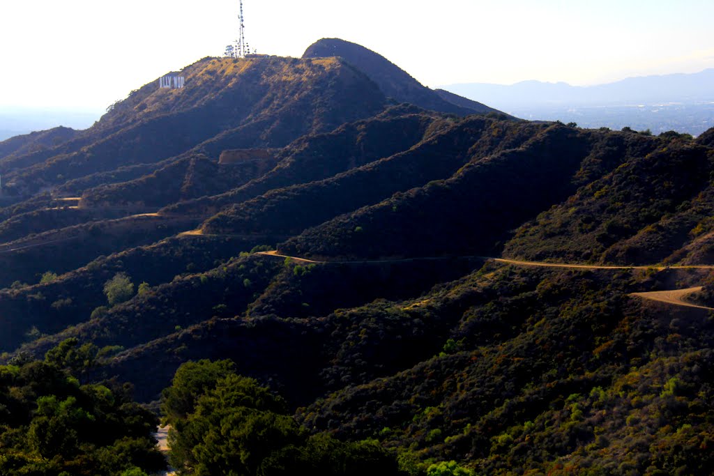 Views from the Crestline trail in Griffith Park, Los Angeles, CA by MICHAEL  JIROCH  &  www.michaeljiroch.com