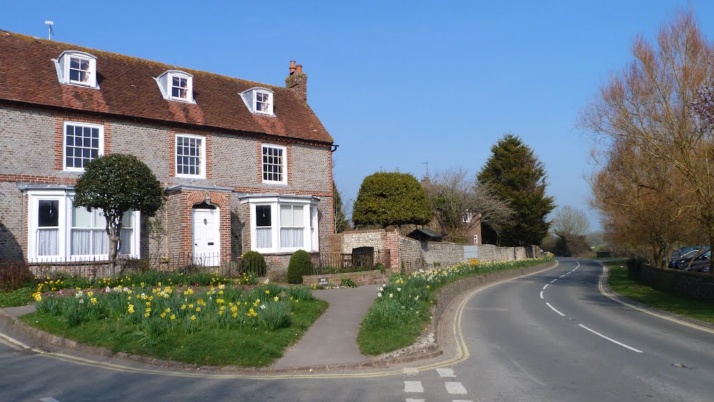 A Host of Golden Daffodils..Alfriston by shariain