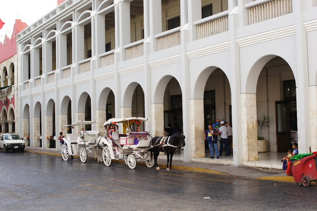 Terminal de Calandrias, Merida, Yuc by Aurelio Z Santana