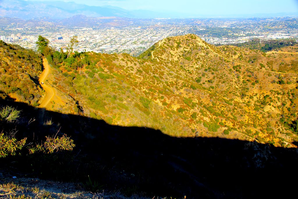 Views from the Crestline trail in Griffith Park, Los Angeles, CA by MICHAEL  JIROCH  &  www.michaeljiroch.com