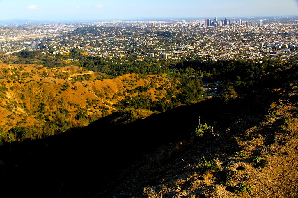 Views from the Crestline trail in Griffith Park, Los Angeles, CA by MICHAEL  JIROCH  &  www.michaeljiroch.com