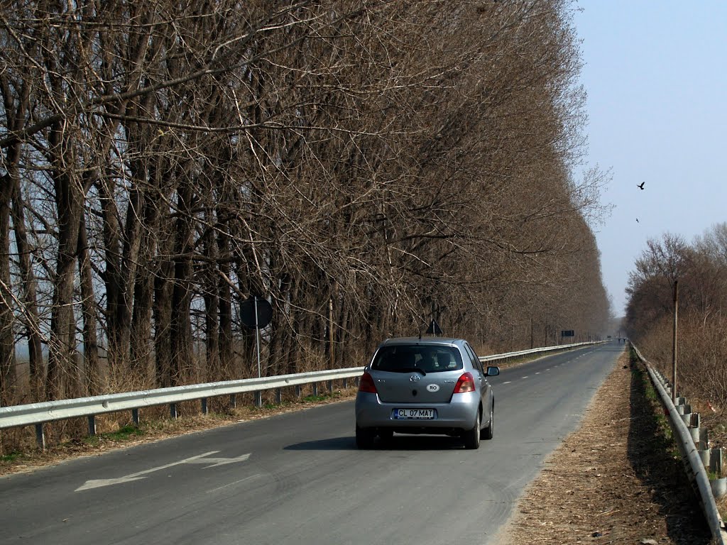 Spre Călăraşi / Toward Calarasi by dinuveronica