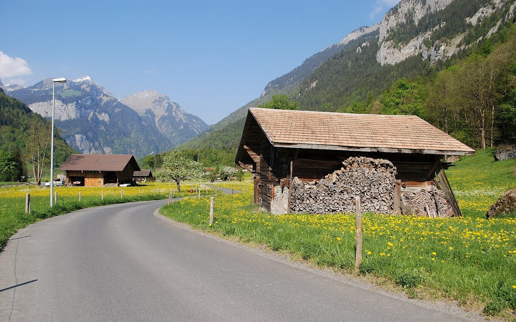 Grindelwald Tal by Hans J.S.C. Jongstra