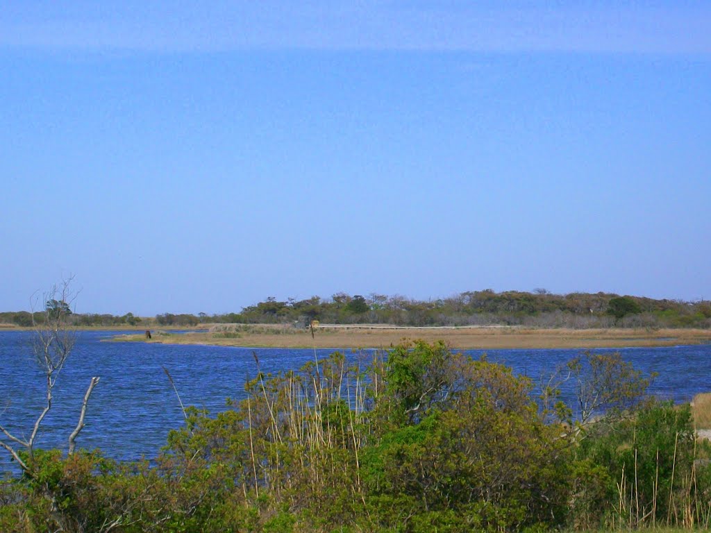 Marsh at Assateague by Nick5