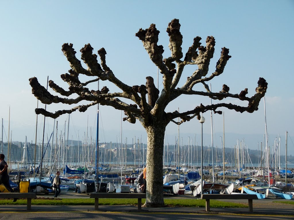 Les quais by Magda GHALI