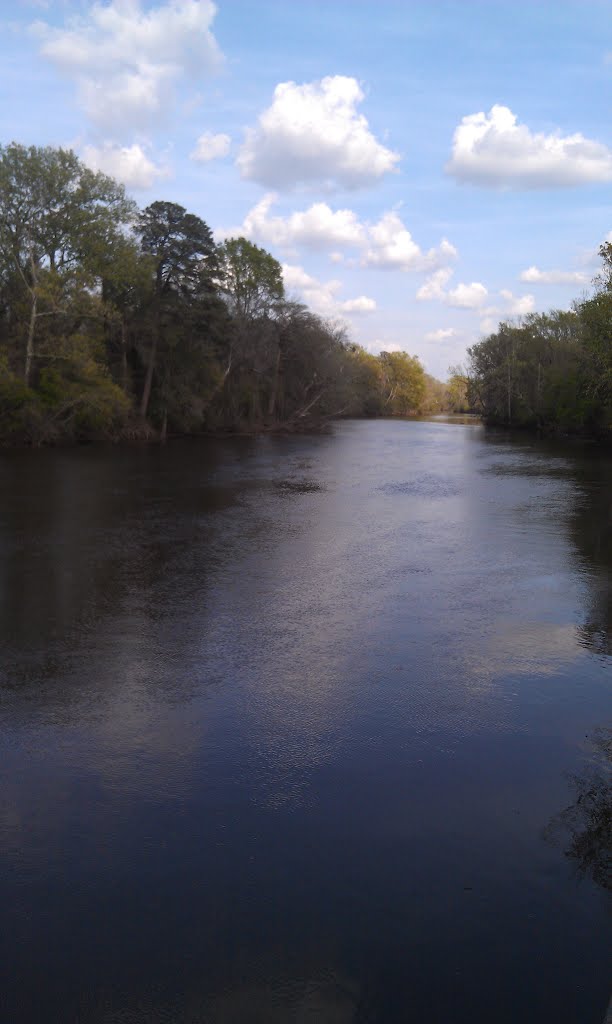 Tar River downstream by perkins4