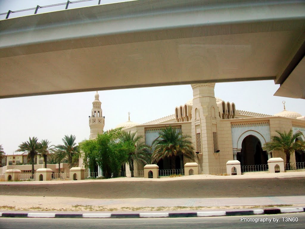 Dubai Mosque by Florante