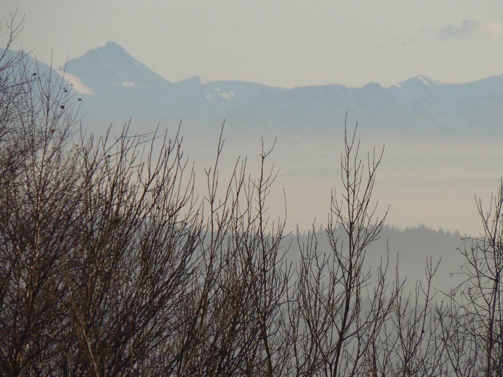 Tatry z Koskowej góry by frank566