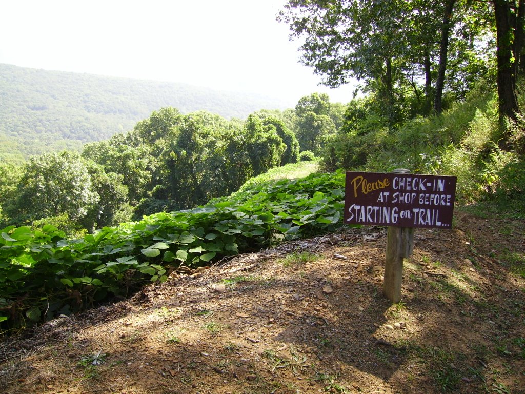 Artist Point- north of Mountainburg, AR by tbrmarvin