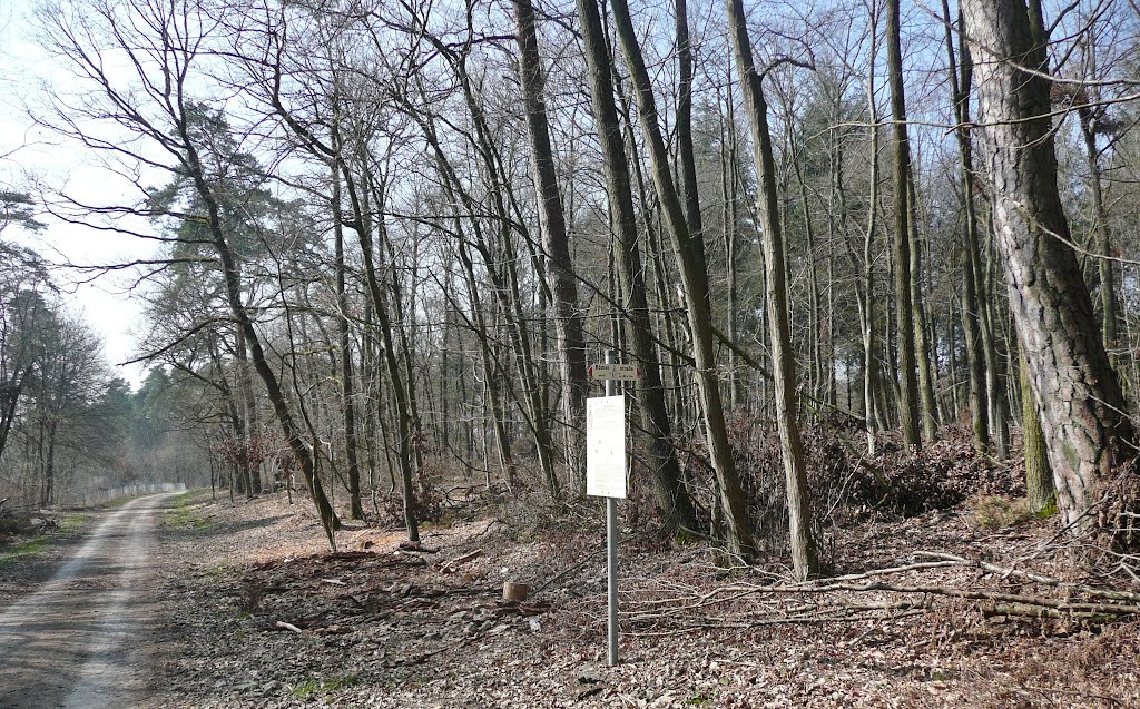 Römerstraße vom Neckar zum Rhein, erbaut um 90 n. Chr. unter dem römischen Kaiser Domitian: n der Gegend des heutigen Rutesheim müsste eine Raststation gegeben haben. Etwas 1000 m nördlich von hier fand man 1936 beim Bau der Autobahn Reste von römischen Gebäuden und Tongeräten, die auf einen solche Versorgungsstation der Reisenden hindeuten. by Qwesy